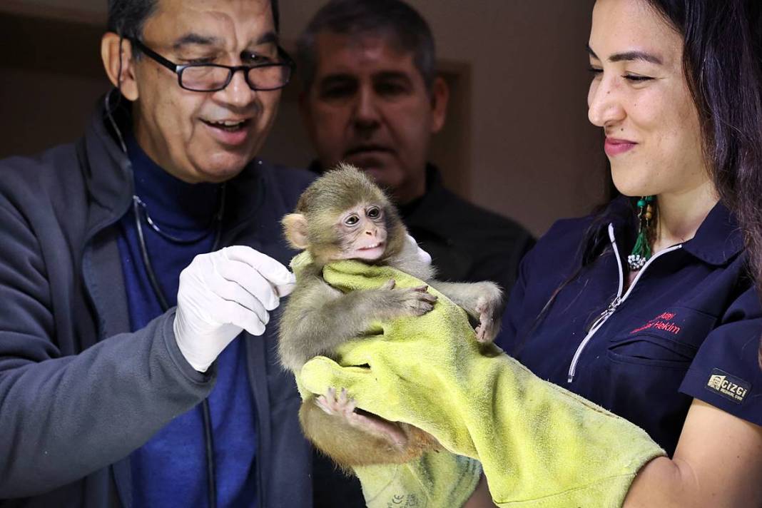 Otobüsle gönderilen koliyi kimse almayınca şoke eden gerçek ortaya çıktı! Hiç kimse bu kadar absürtlüğü tahmin edemezdi 5